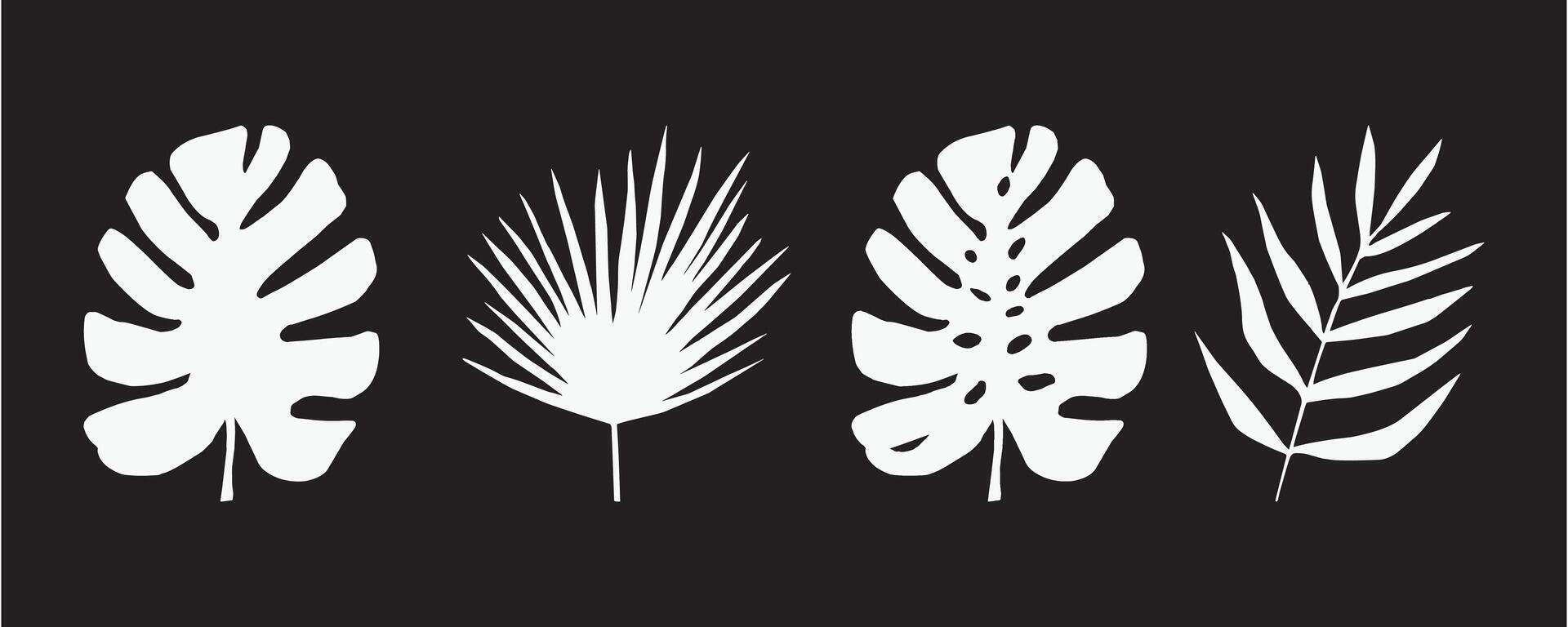 ensemble de noir et blanc silhouettes de tropical feuilles. vecteur botanique illustrations, floral éléments, monstère, paume feuilles. main tiré plante pour décoration.