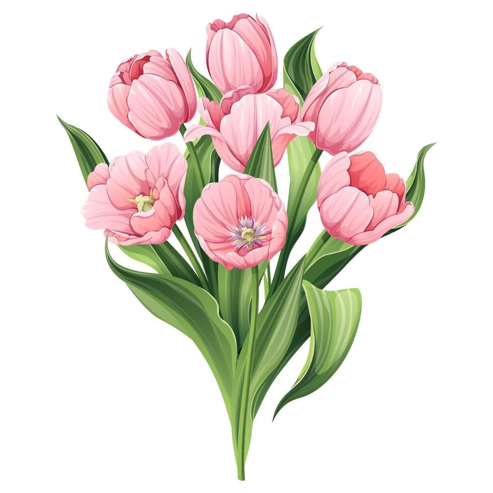 bouquet de tulipes sur un isolé Contexte dans dessin animé style. printemps rose fleurs pour aux femmes jour, Pâques. vecteur floral illustration.