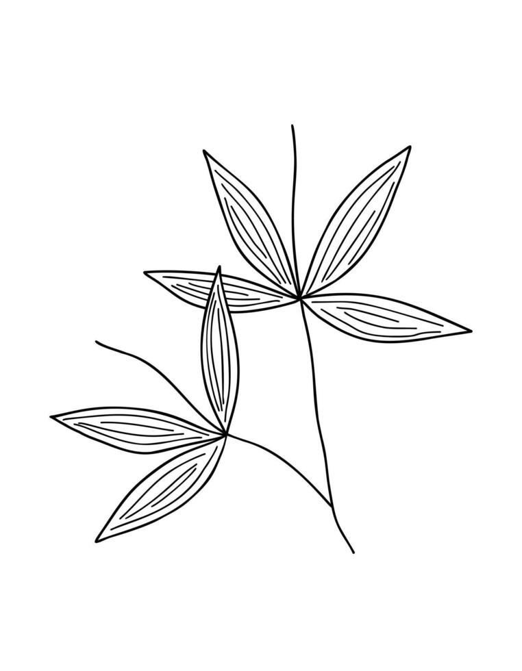 bambou feuilles branche Facile linéaire style vecteur contour illustration, traditionnel Japonais usine, Oriental décoratif ornement pour conception, salutation carte, modèle, bannière, Zen concept