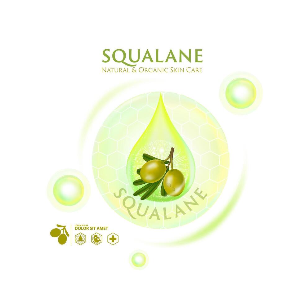 concept de squalane sérum peau se soucier cosmétique affiche, bannière conception vecteur