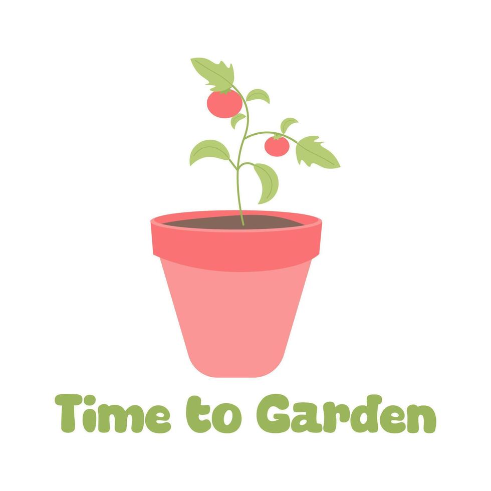 temps à jardin. printemps ou été bannière. plat vecteur illustration. croissance tomate les plantes dans des pots