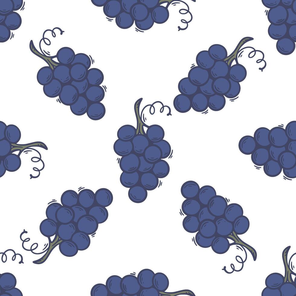 mûr branches de bleu les raisins Contexte vecteur