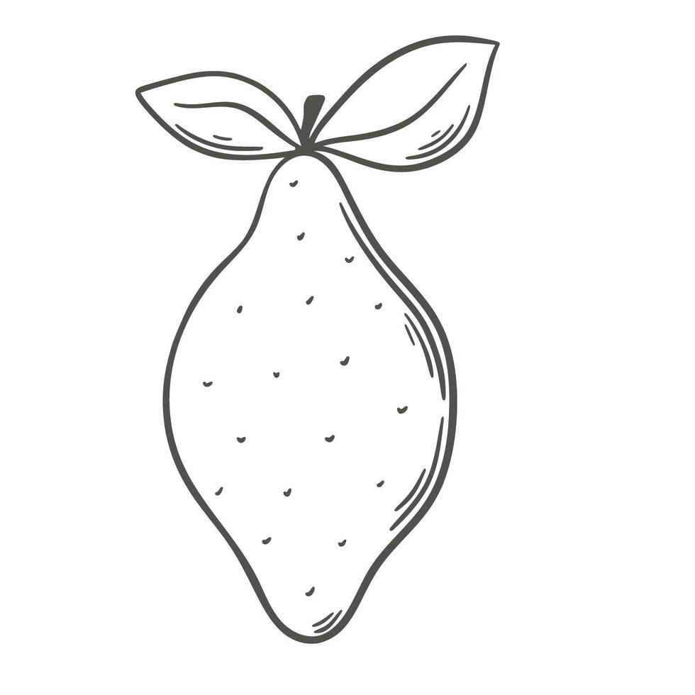 citron main gravure isolé vecteur illustration