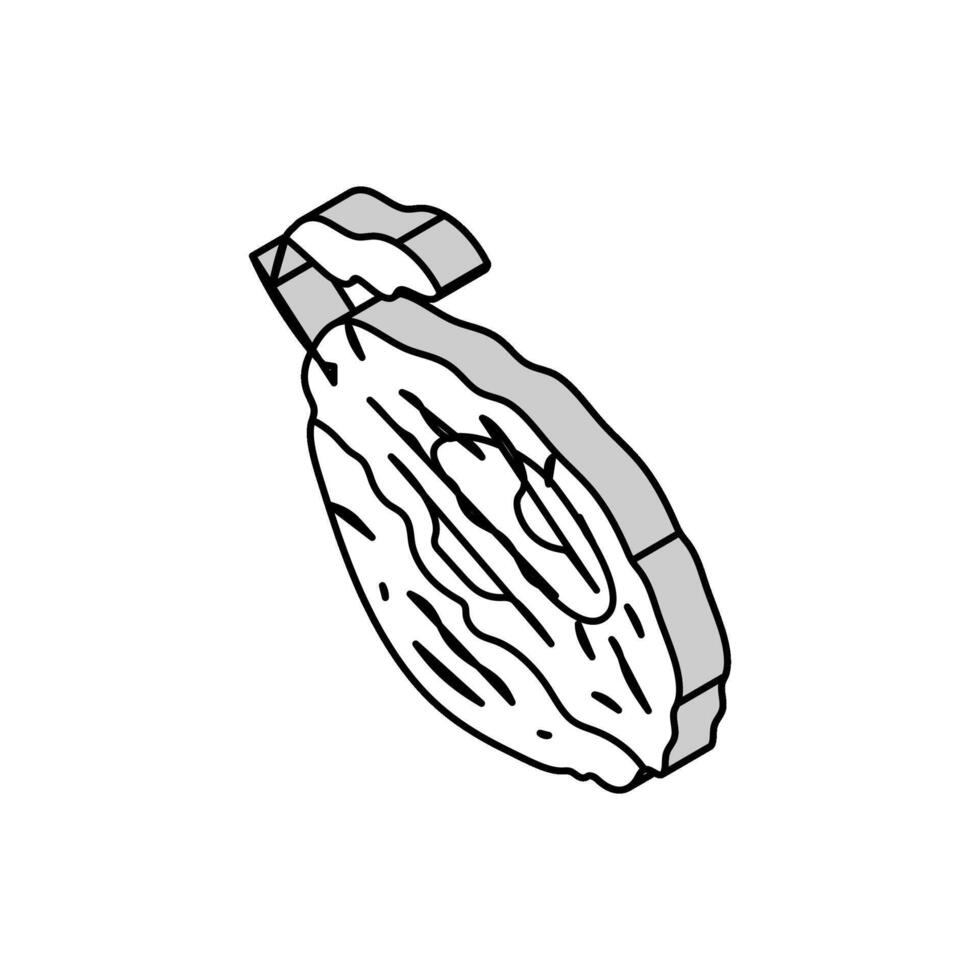 prune prune sec isométrique icône vecteur illustration