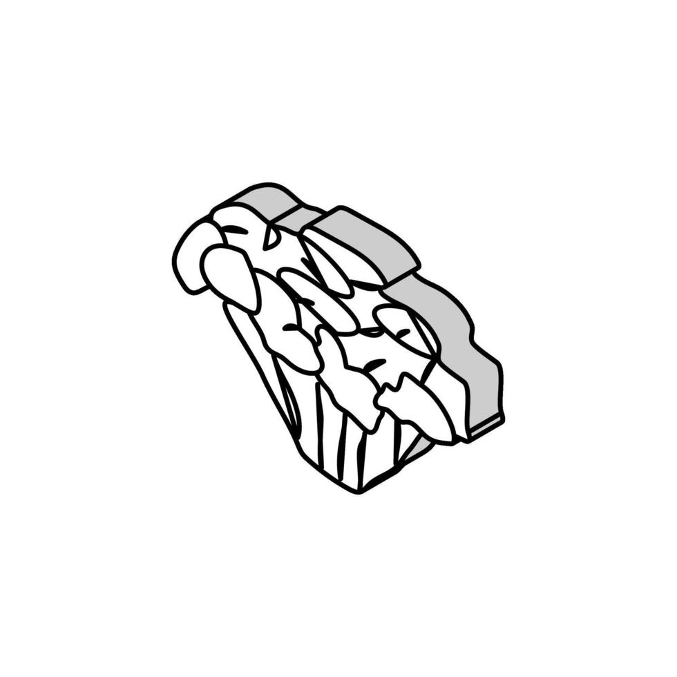 champignon maitake icône isométrique illustration vectorielle vecteur
