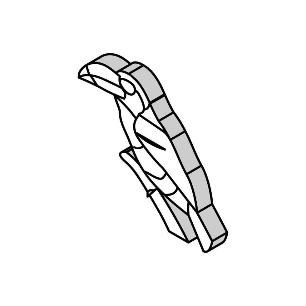 boucle huppé aracari oiseau exotique isométrique icône vecteur illustration