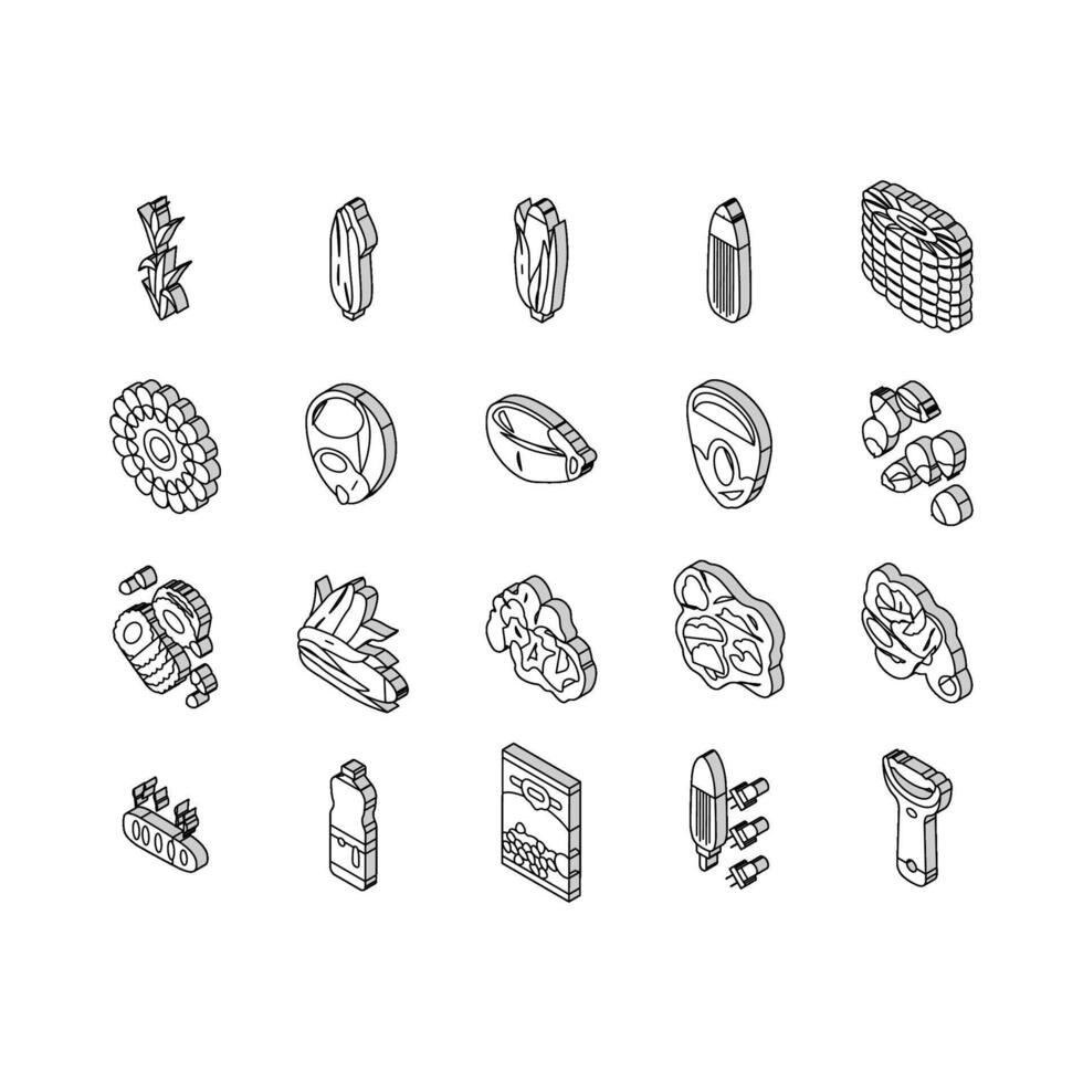 blé maïs vert, épi sucré isométrique Icônes ensemble vecteur