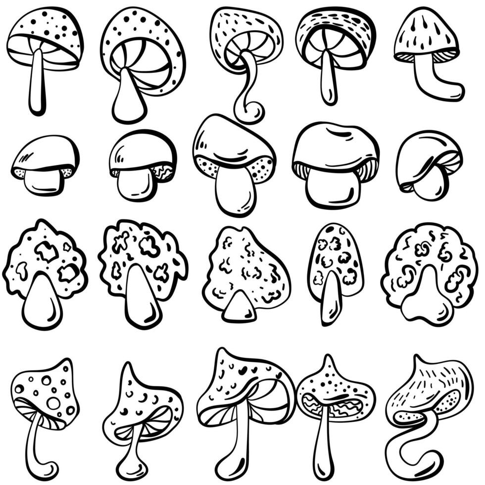 contour ensemble de champignons dans griffonnage style, fantaisie chapeau champignon pour conception vecteur