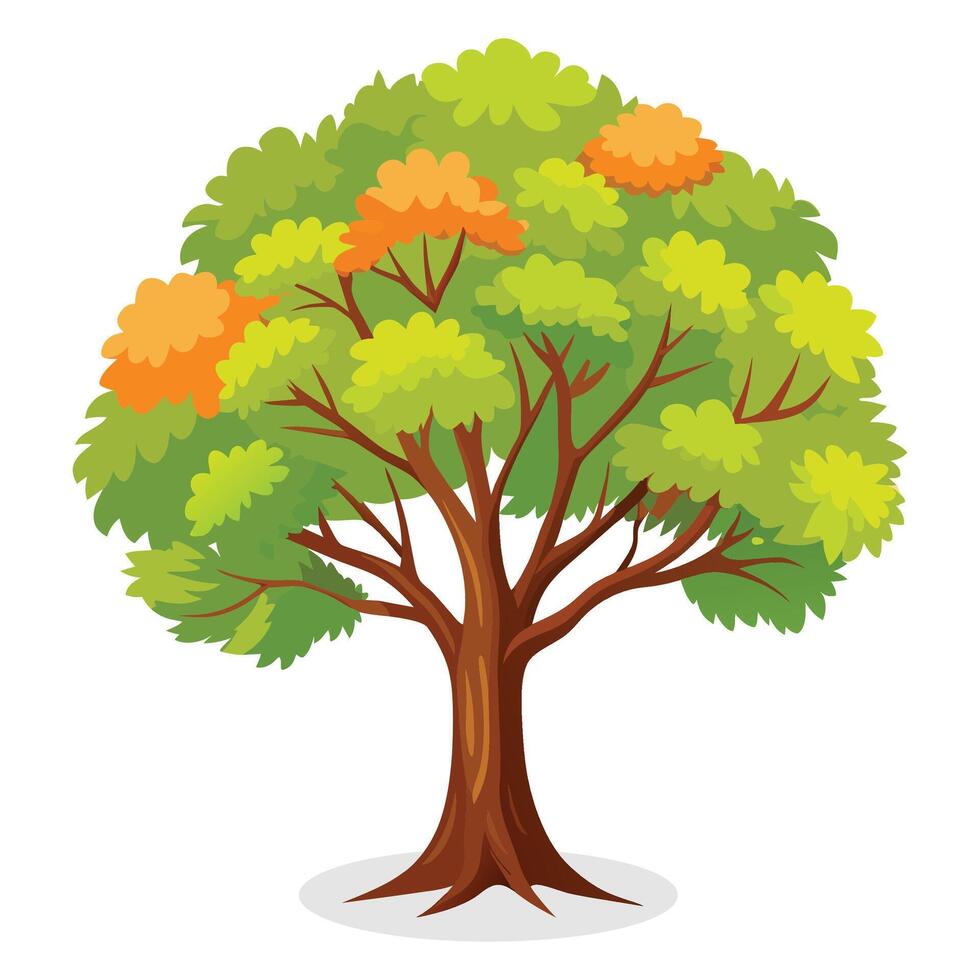 hêtre arbre isolé plat vecteur illustration