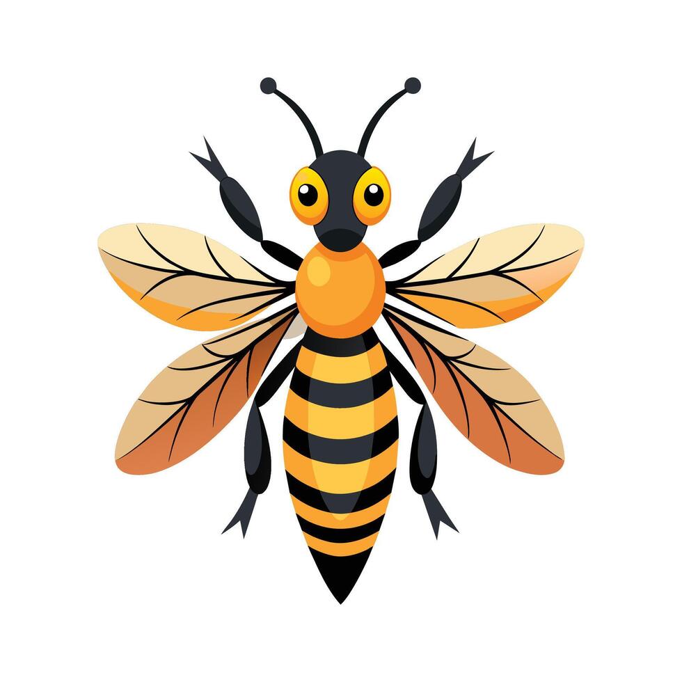 africanisé abeille tueur abeille vecteur illustration sur blanc Contexte