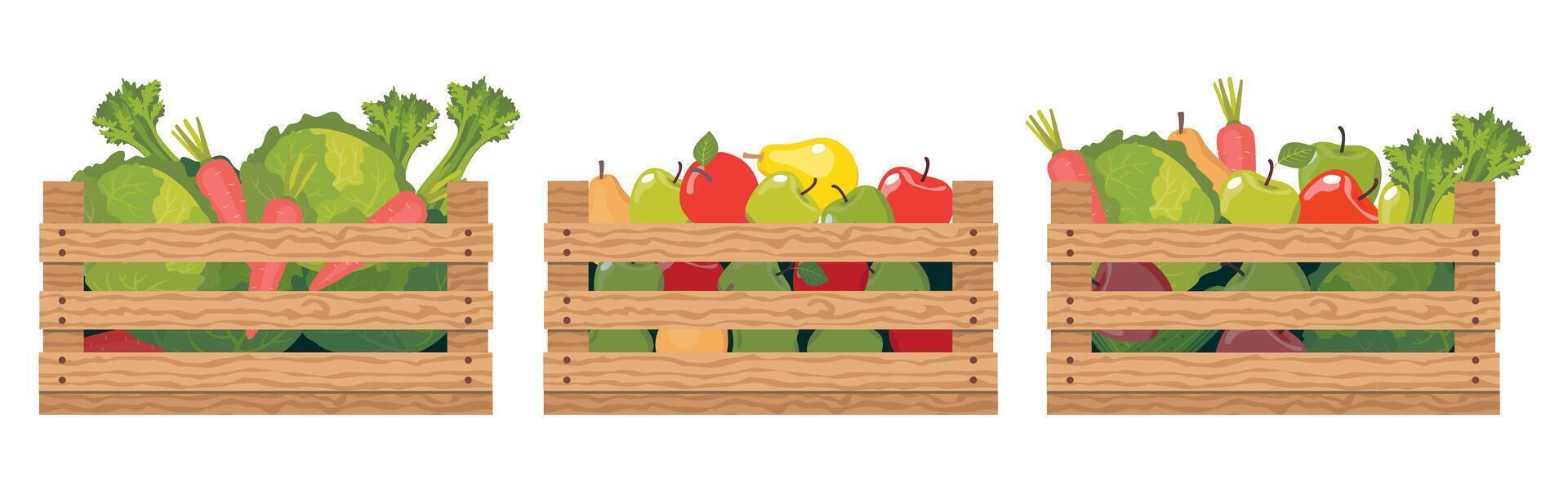 une ensemble de en bois des boites avec divers des légumes et des fruits. récolte de pommes, des poires, chou, carottes dans tiroirs. des boites pour stockage et transportant cultures. vecteur illustré vecteur clipart.