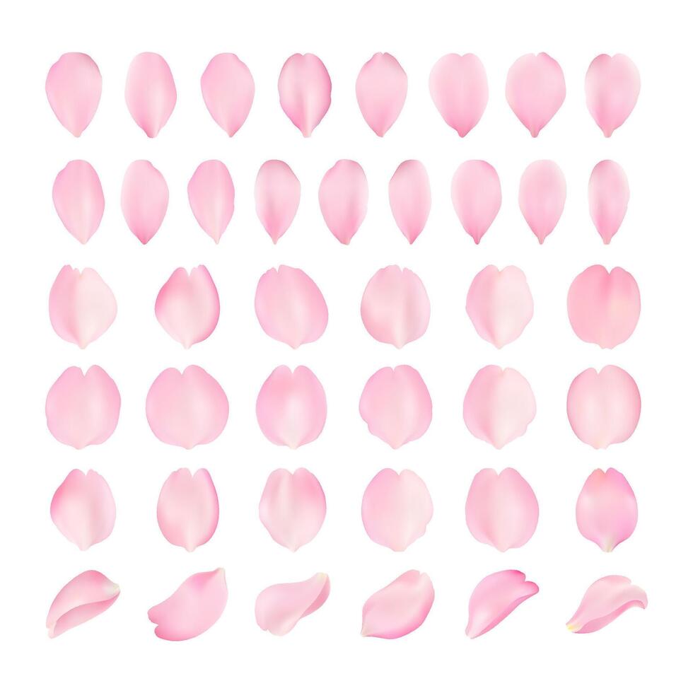 vecteur modèle de Sakura pétale de divers formes sur une blanc Contexte. réaliste volumineux Sakura pétales. fermer pour romantique cartes.