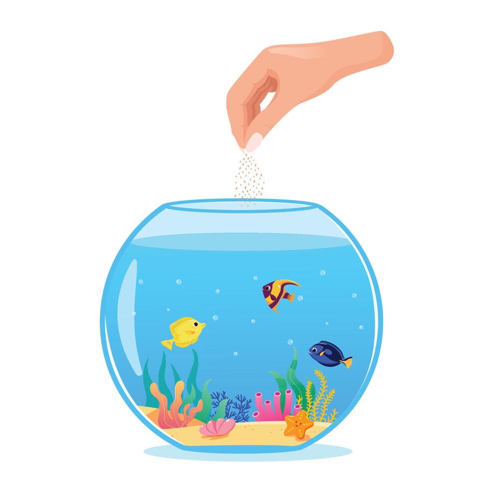 vecteur illustration de une femme main alimentation poisson à maison, fermer rond aquarium