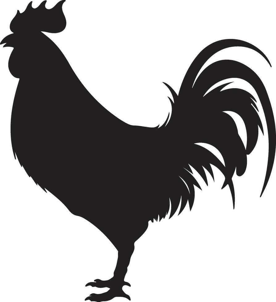 poulet silhouette vecteur illustration blanc Contexte