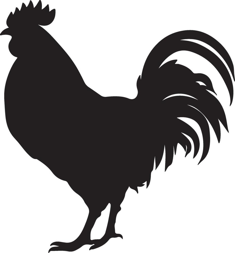 poulet silhouette vecteur illustration blanc Contexte