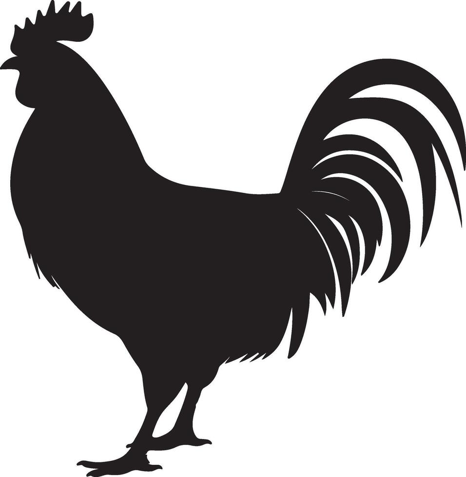 poulet silhouette vecteur illustration blanc Contexte