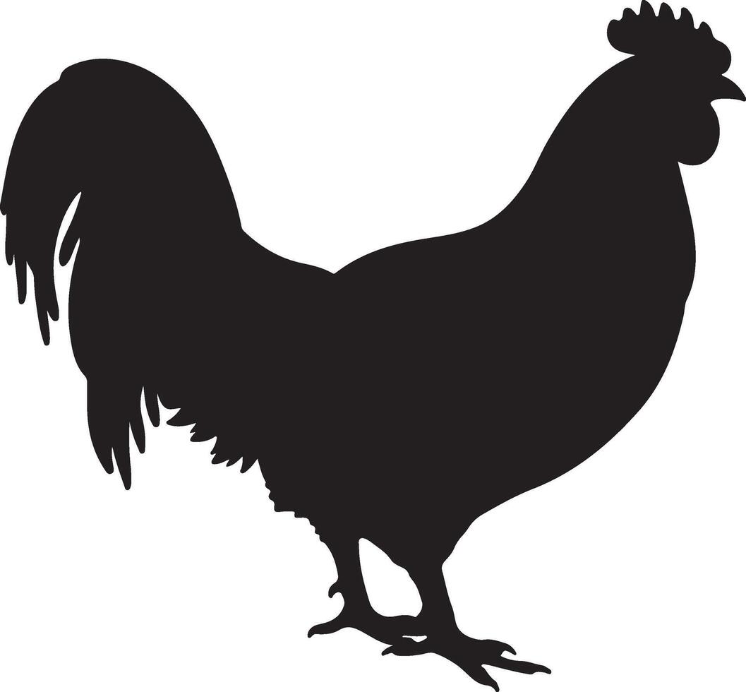 poulet silhouette vecteur illustration blanc Contexte