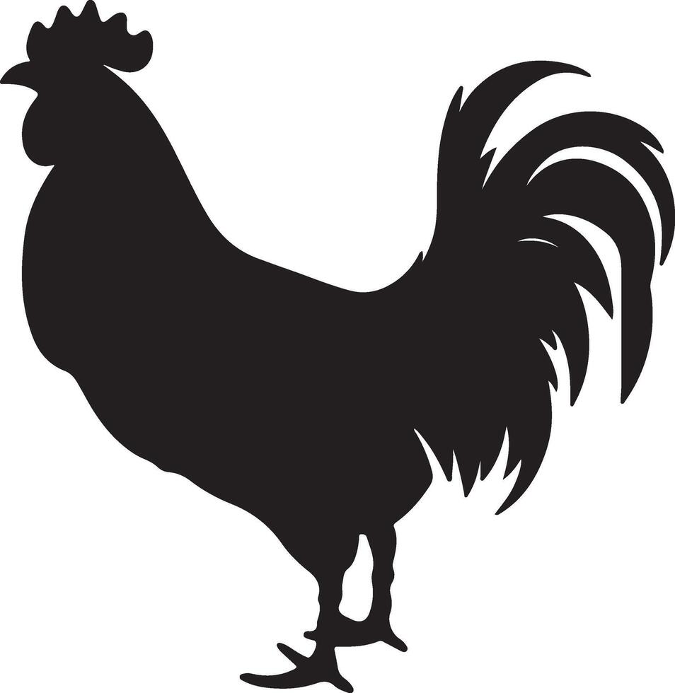 poulet silhouette vecteur illustration blanc Contexte