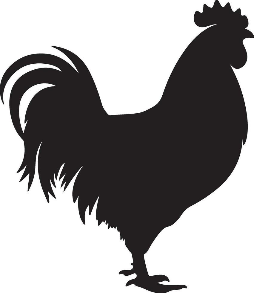 poulet silhouette vecteur illustration blanc Contexte