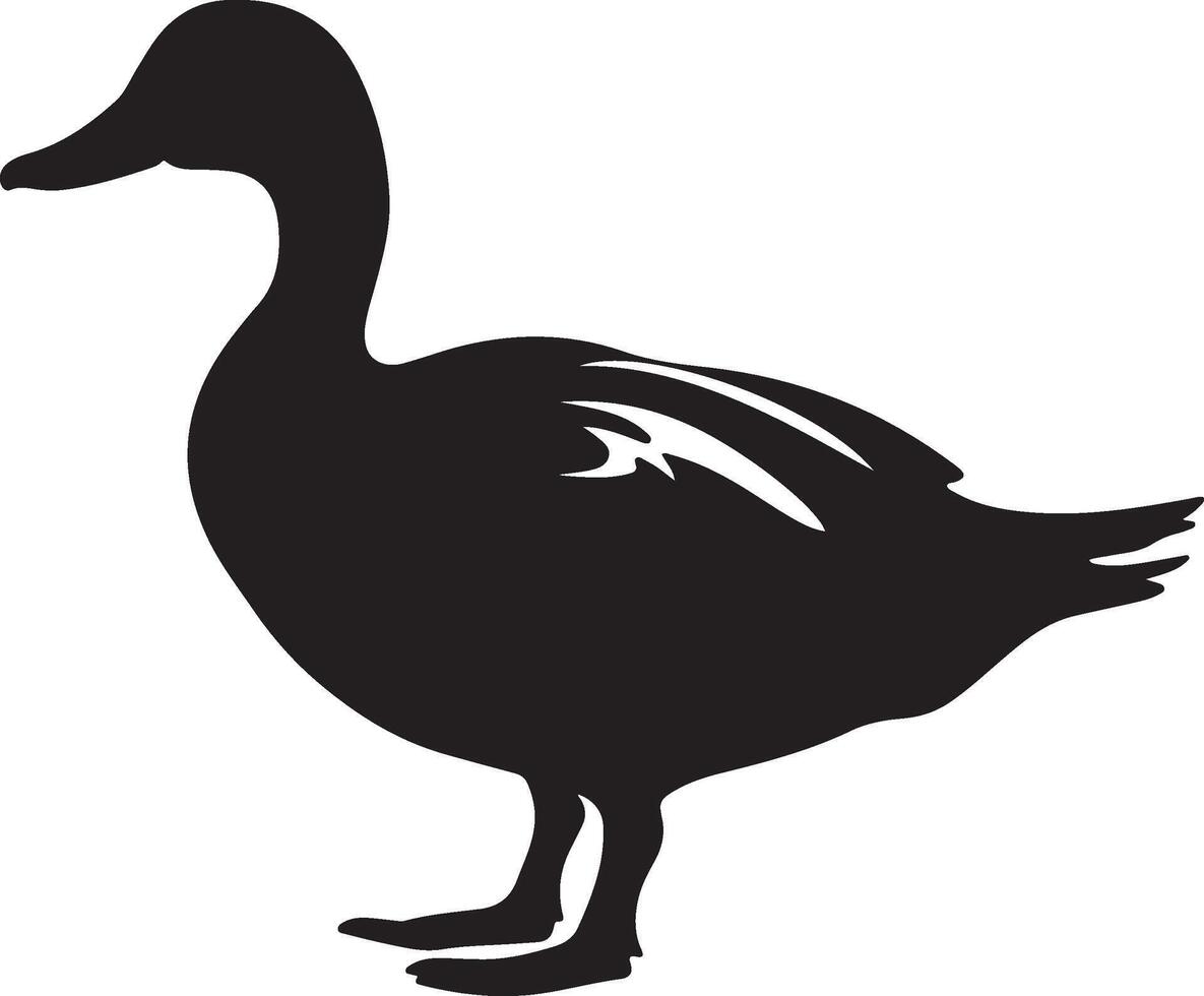 canard silhouette vecteur illustration blanc Contexte