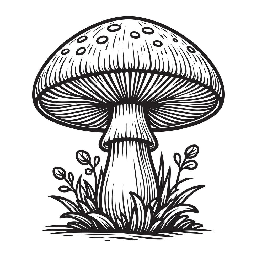 champignon coloration page noir et blanc vecteur des illustrations pour des gamins