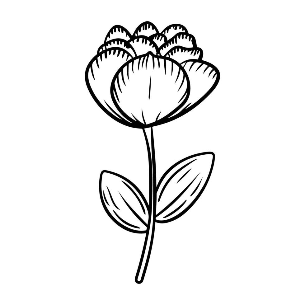 main tiré fleur noir contour vecteur isolé sur blanc Contexte.