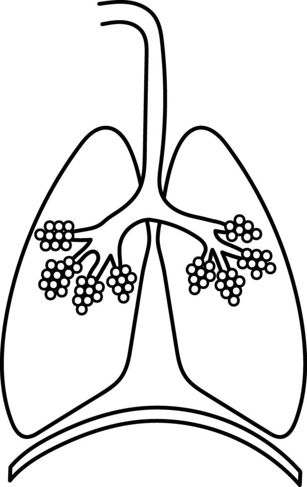 respiratoire système Facile ligne illustration les pièces pour éducatif fins vecteur