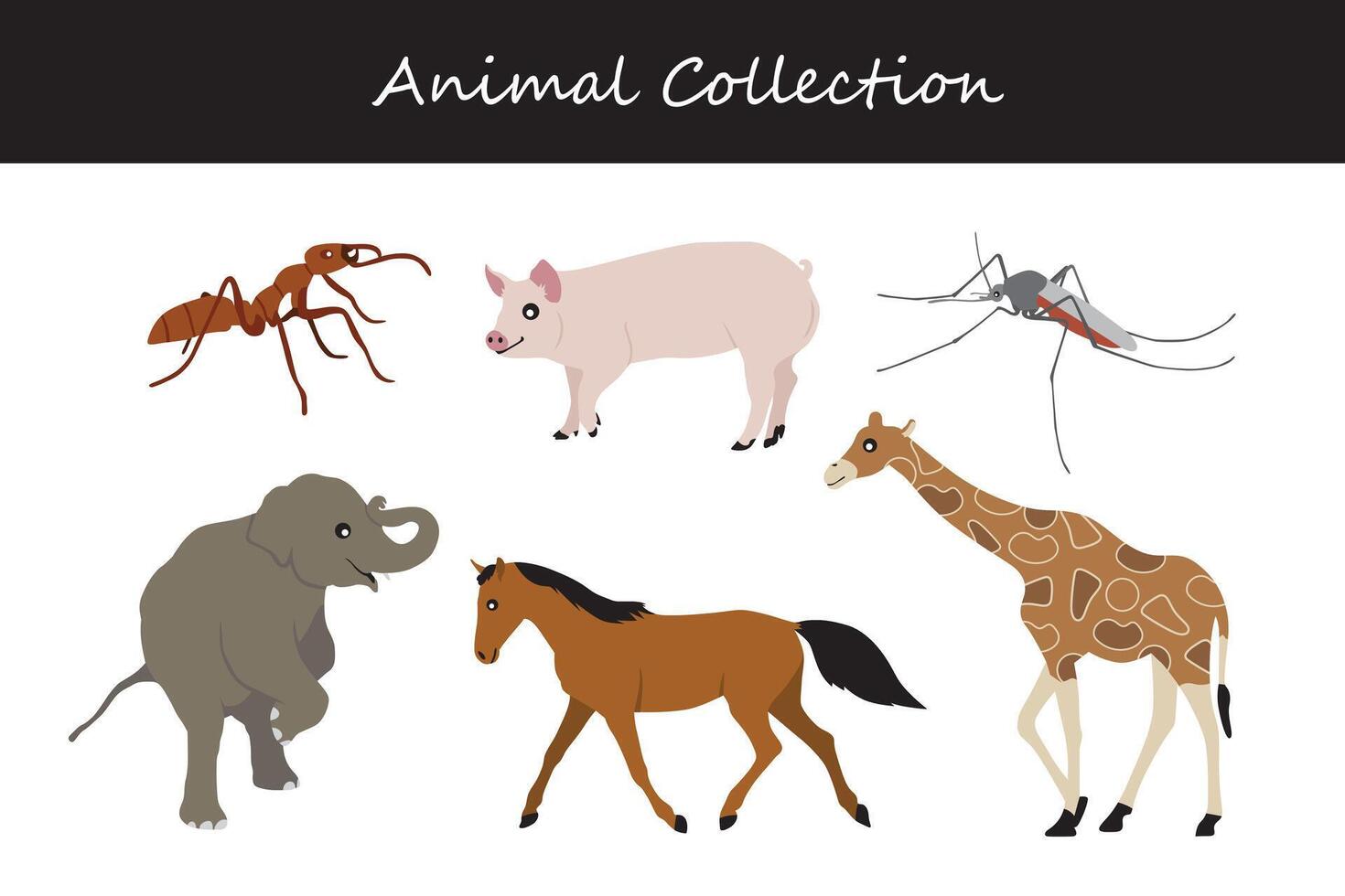 animal collection. dessin animé style. vecteur illustration isolé sur blanc Contexte.