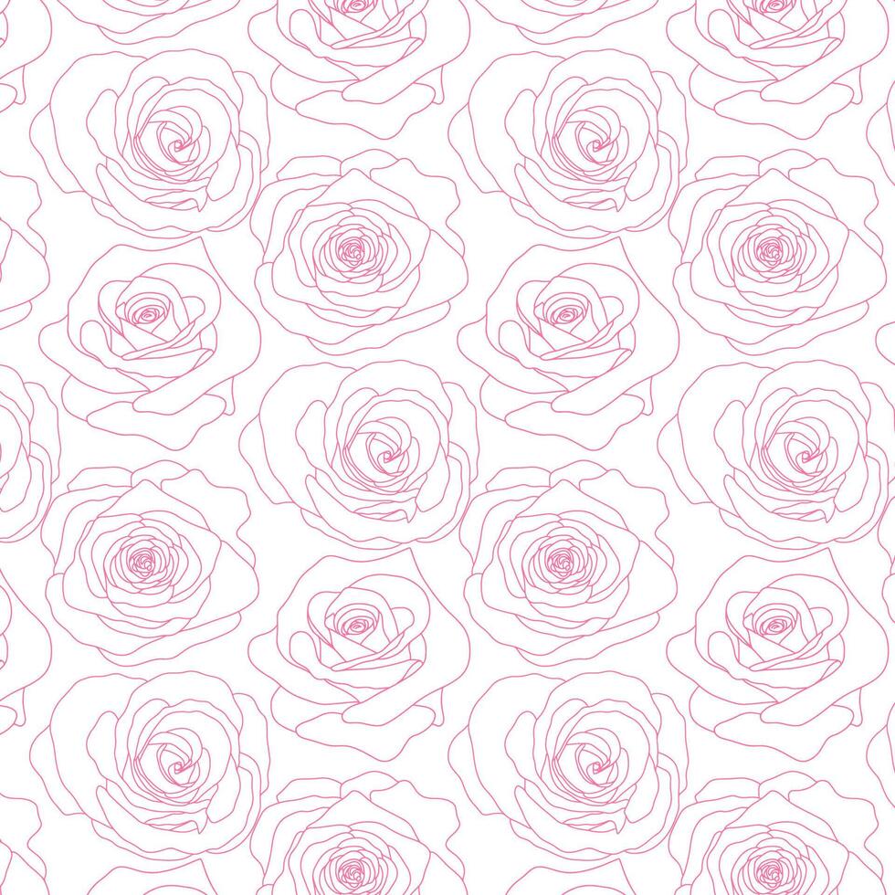 vecteur sans couture modèle avec Rose fleurs rose contour sur le blanc Contexte main tiré floral style vecteur