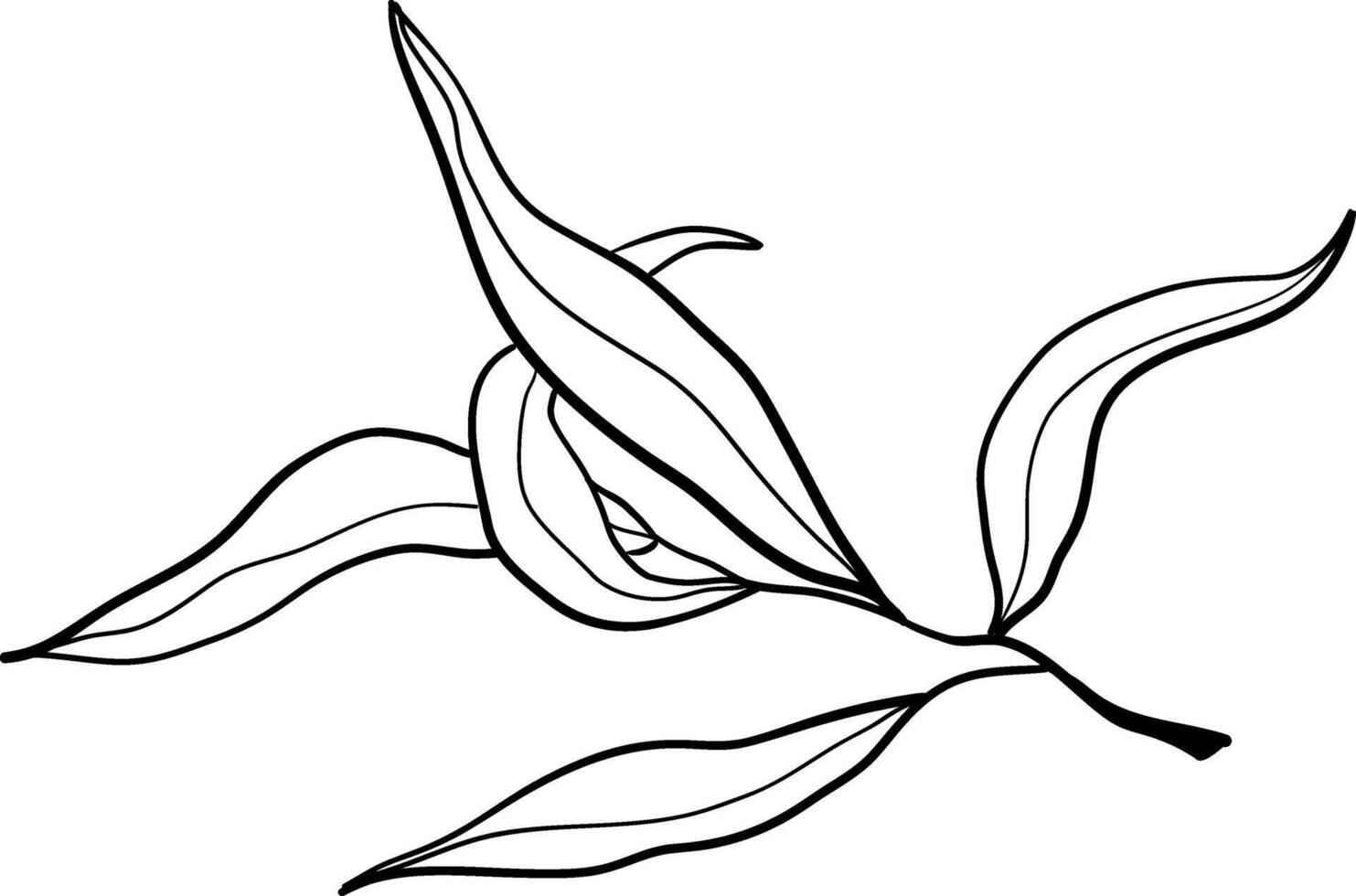vecteur griffonnage olive branche illustration.le concept de méditerranéen aliments. italien grec plante isolé sur blanc Contexte.