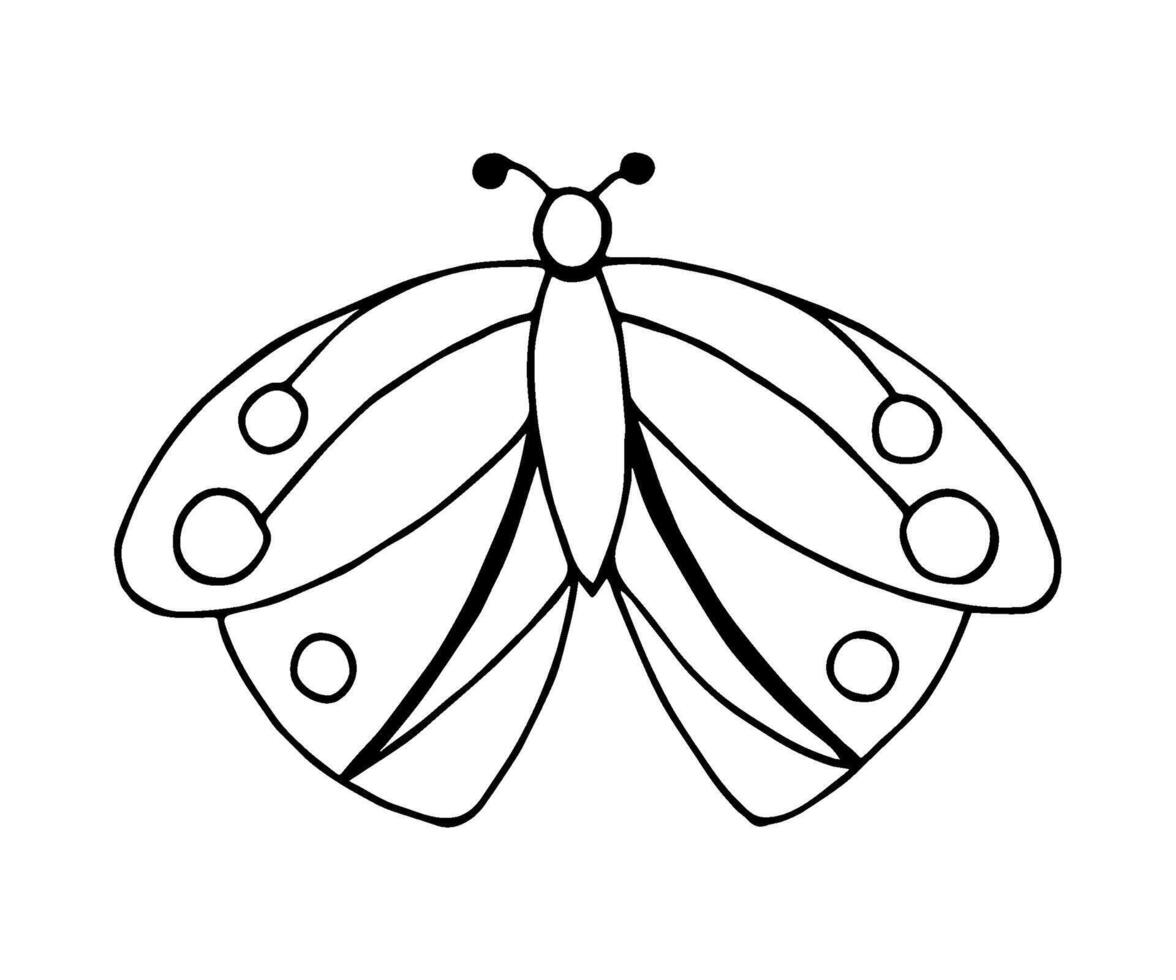 Facile dessiné à la main vecteur esquisser dans noir contour. stylisé dessin animé papillon de nuit papillon isolé sur une blanc Contexte. pour impressions, enfants coloration, cartes postales, Étiquettes. insectes, nature, été saison.