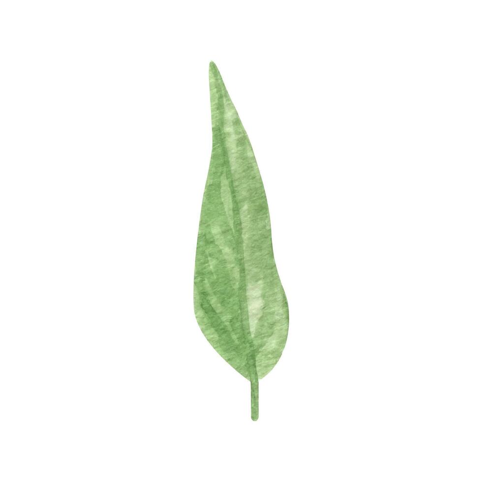 main tiré boho vert feuille. aquarelle illustration feuilles pour mariage décoration et dispositions. vecteur