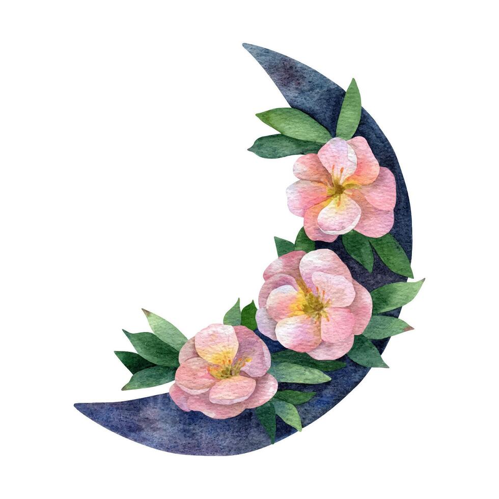 aquarelle Nouveau lune avec potentille fleurs. main tiré rond cosmos frontière vecteur
