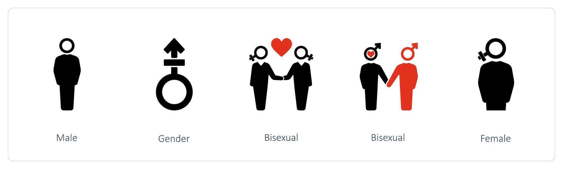 Masculin et bisexuel vecteur