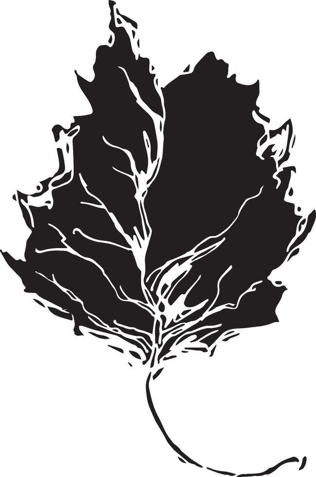 esquisser dessin de une bouleau feuille dans noir et blanc contour. ancien combinaison de bouleau feuille. vecteur