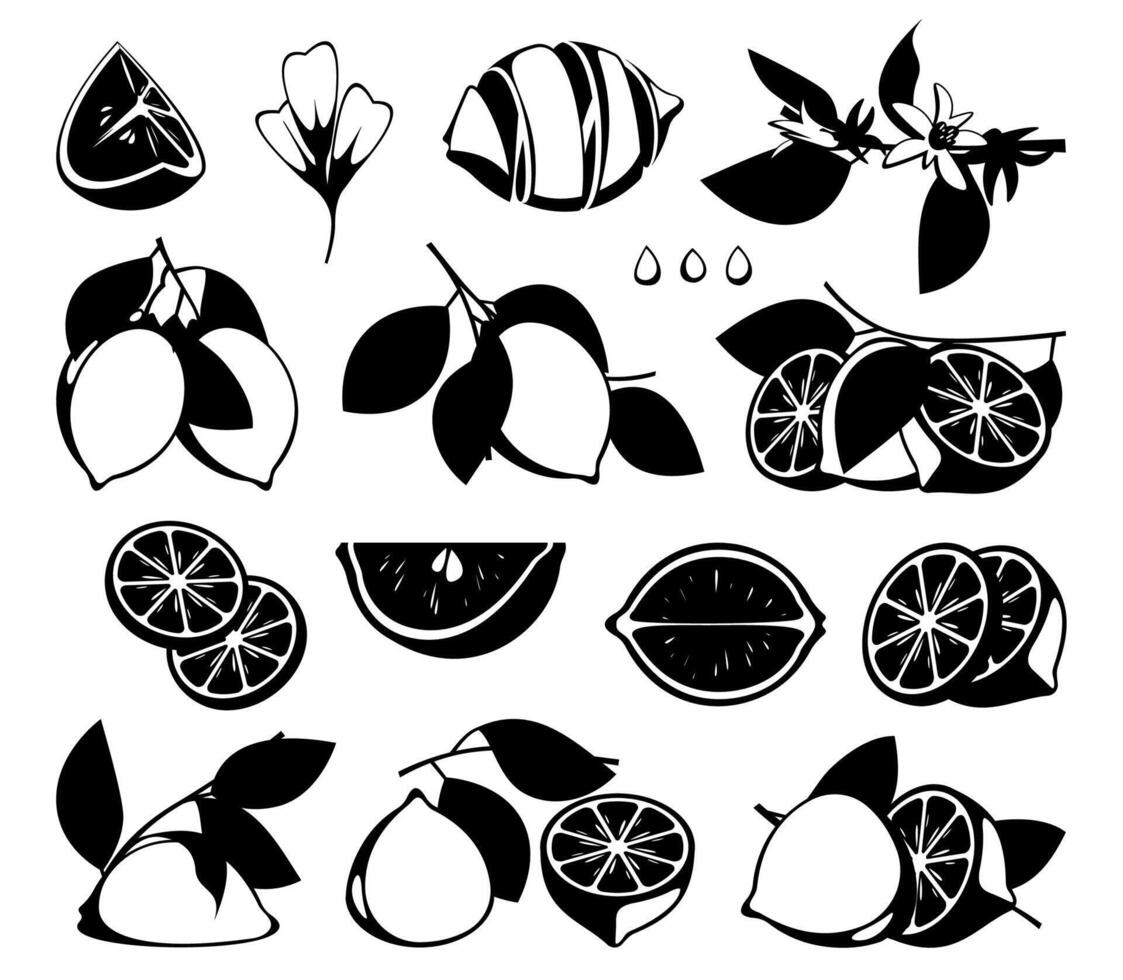 noir citrons. dessin animé silhouette de biologique agrumes des fruits, encre mandarine tranches et branches pour impression conception. en bonne santé nourriture vecteur concept