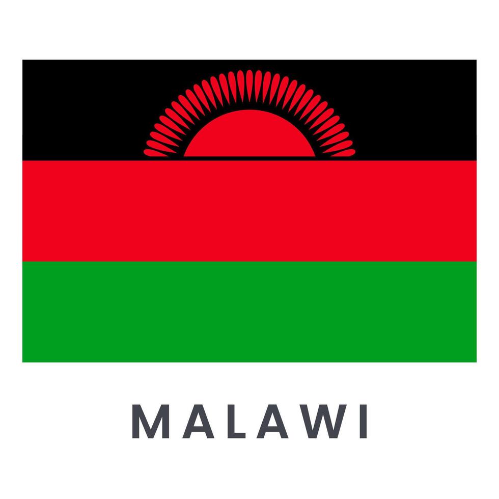 vecteur Malawi drapeau isolé sur blanc Contexte.