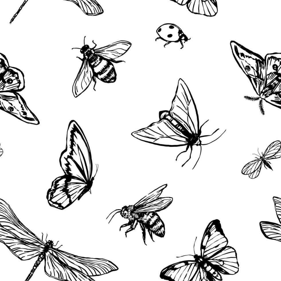 en volant insectes vecteur sans couture modèle. illustration de coléoptères, papillons, libellules, papillons de nuit, coccinelles, les abeilles. rétro style ornement pour conception arrière-plan, décor, fond d'écran.