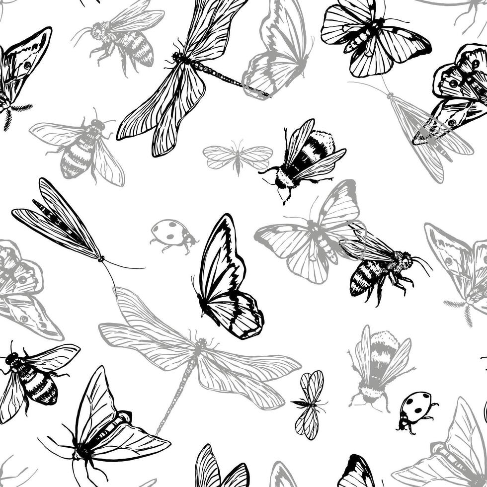 en volant insectes vecteur sans couture modèle. main tiré illustration de insectes, papillons, libellule, papillon, coccinelle, les abeilles. rétro style ornement pour conception arrière-plan, décor, fond d'écran.