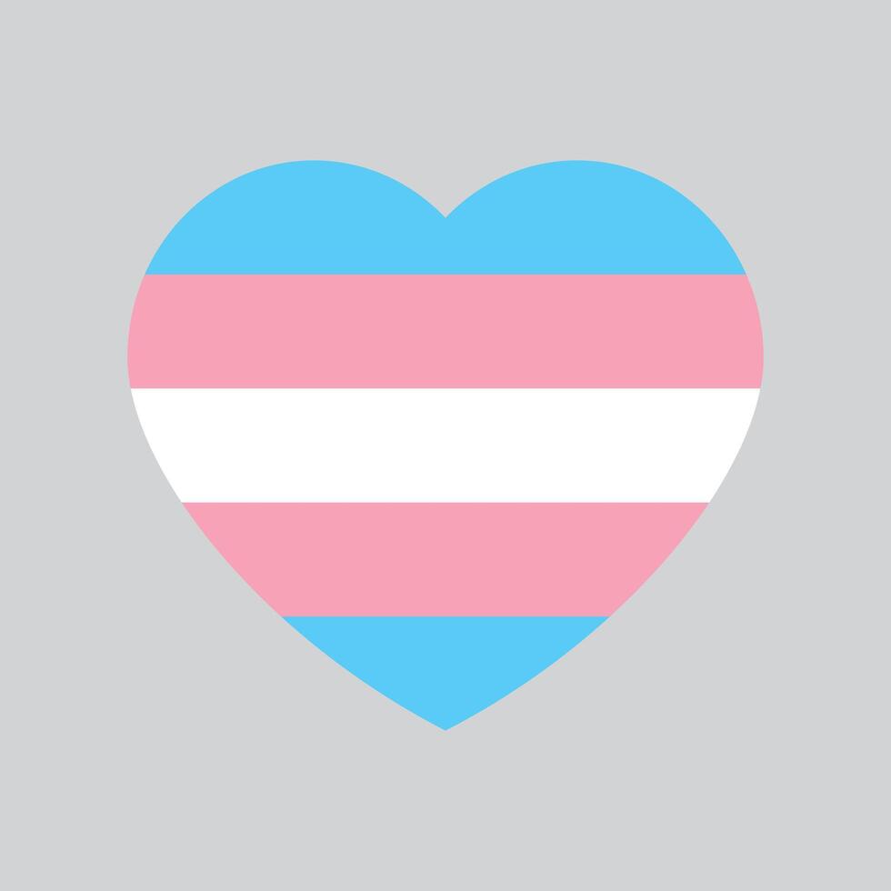 bleu, rose et blanc coloré cœur icône, comme le couleurs de le transgenres drapeau. plat vecteur illustration.