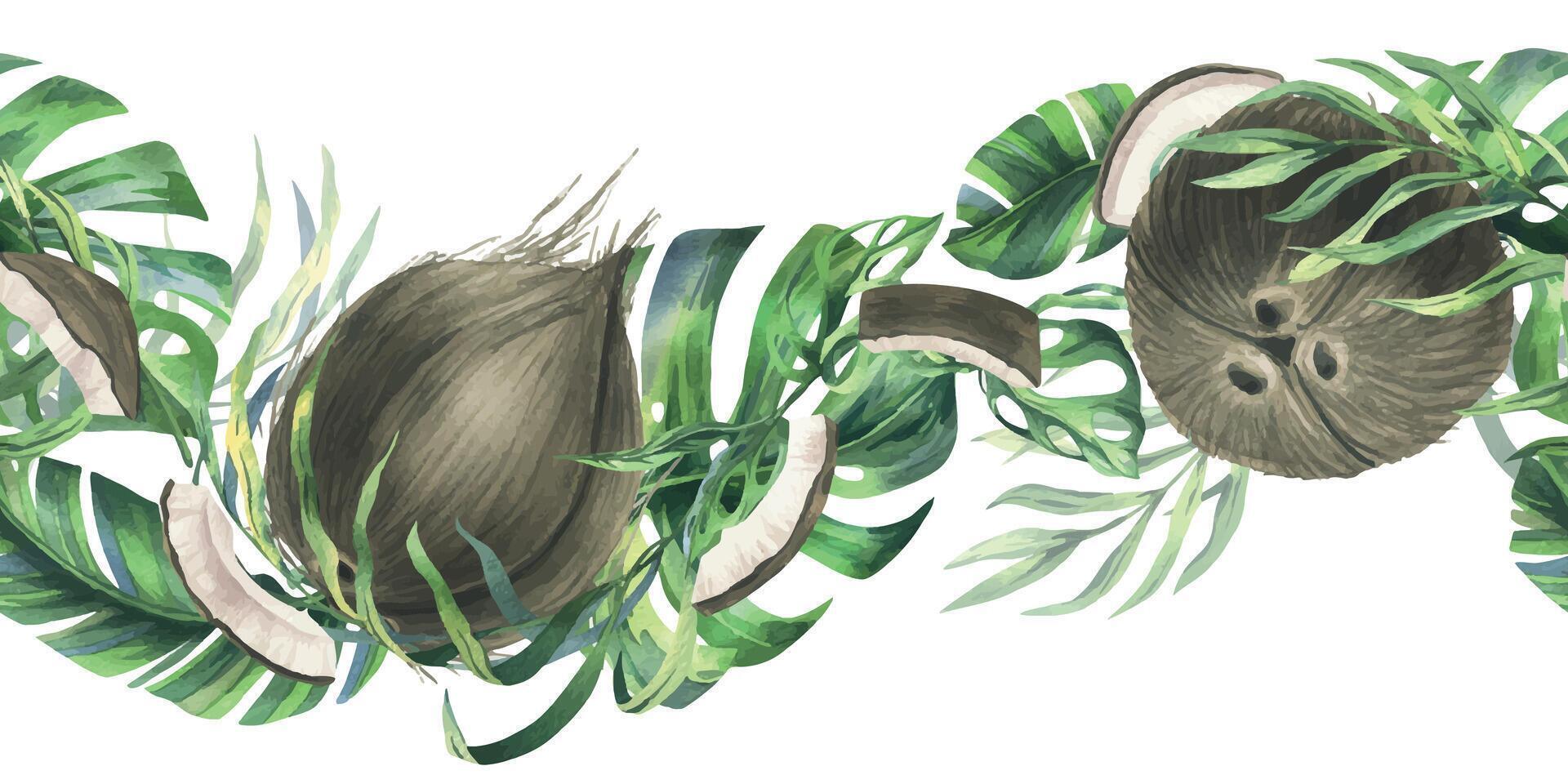 noix de coco ensemble, moitiés et pièces avec brillant, vert, tropical paume feuilles. main tiré aquarelle illustration. sans couture frontière isolé de le Contexte. vecteur