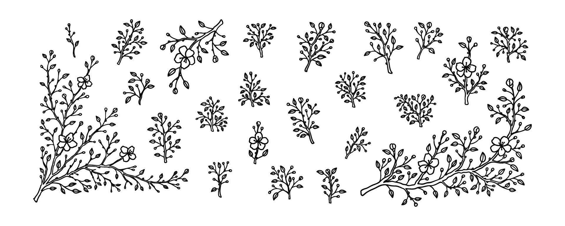 ensemble de printemps Cerise fleur branches. Japonais Sakura fleurs main tiré esquisser vecteur illustration. couché art minimaliste conception élément. contour ancien botanique amande, pomme, abricot dans Floraison