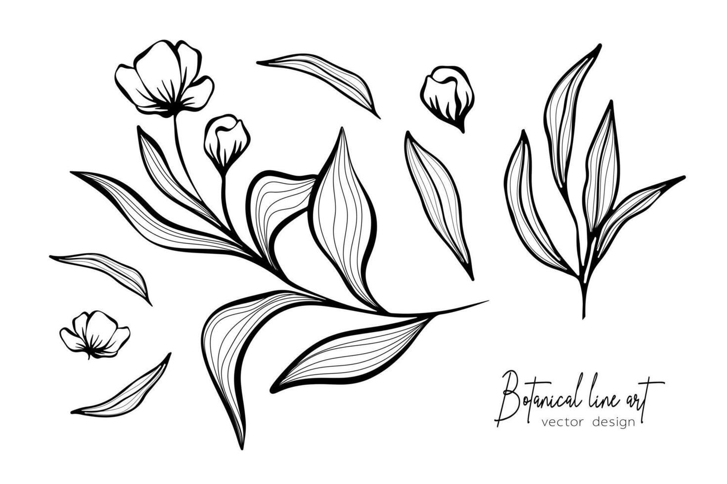 botanique élégant ligne art illustration de fleur feuilles branche pour mariage invitation et cartes, logo conception, la toile, social médias et affiche, modèle, publicité, beauté et cosmétique industrie. vecteur