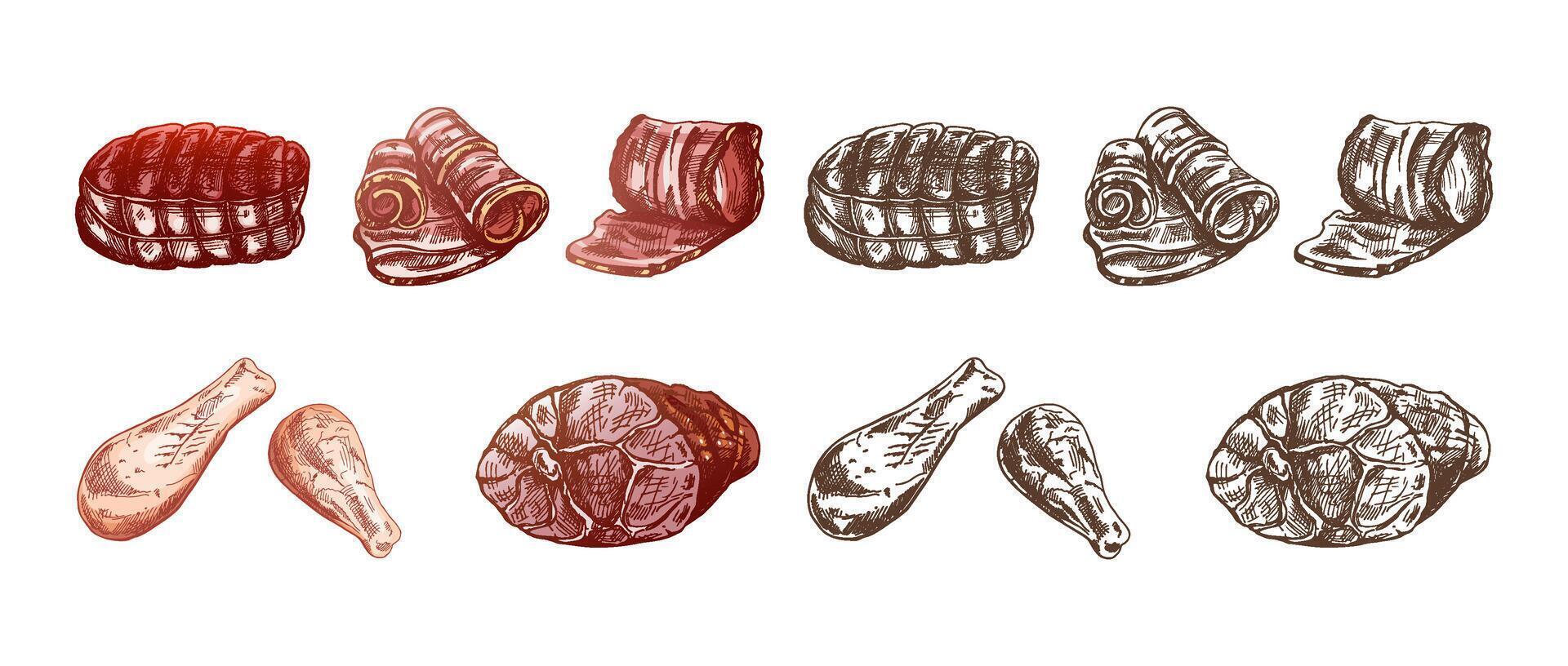 ensemble de dessiné à la main coloré et monochrome croquis de Viande pièces, du boeuf steak, jambon, porc, poulet. Frais brut Viande des produits. pour conception de menu, Boucher magasin. ancien gravé. vecteur