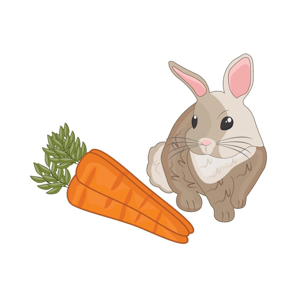 illustration de lapin avec carotte vecteur