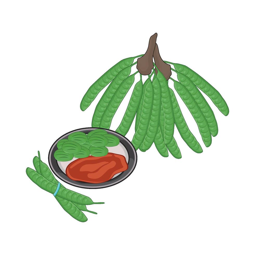 illustration de légume petai vecteur