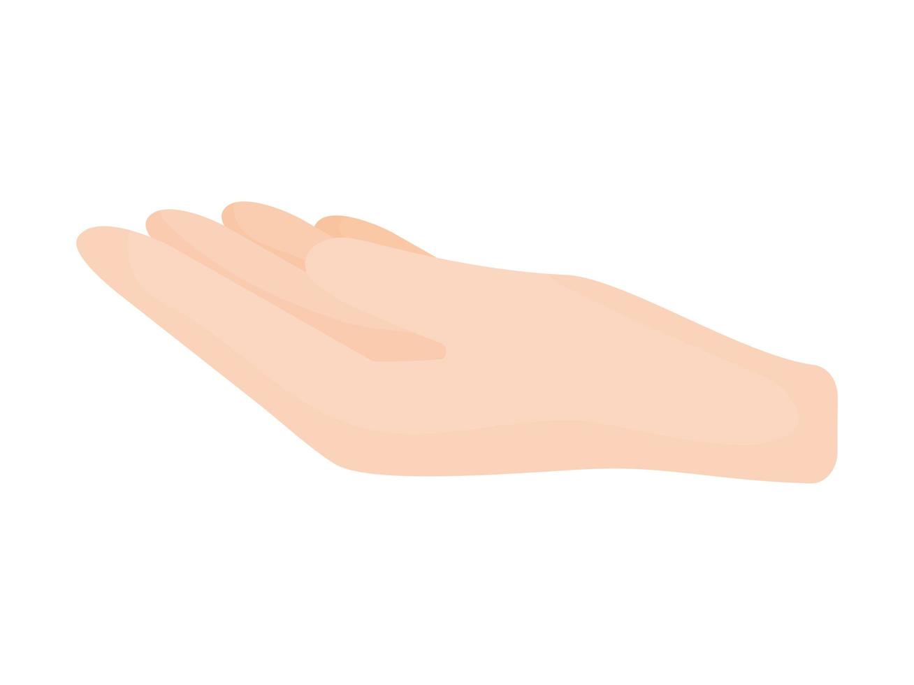 illustration de la main humaine vecteur