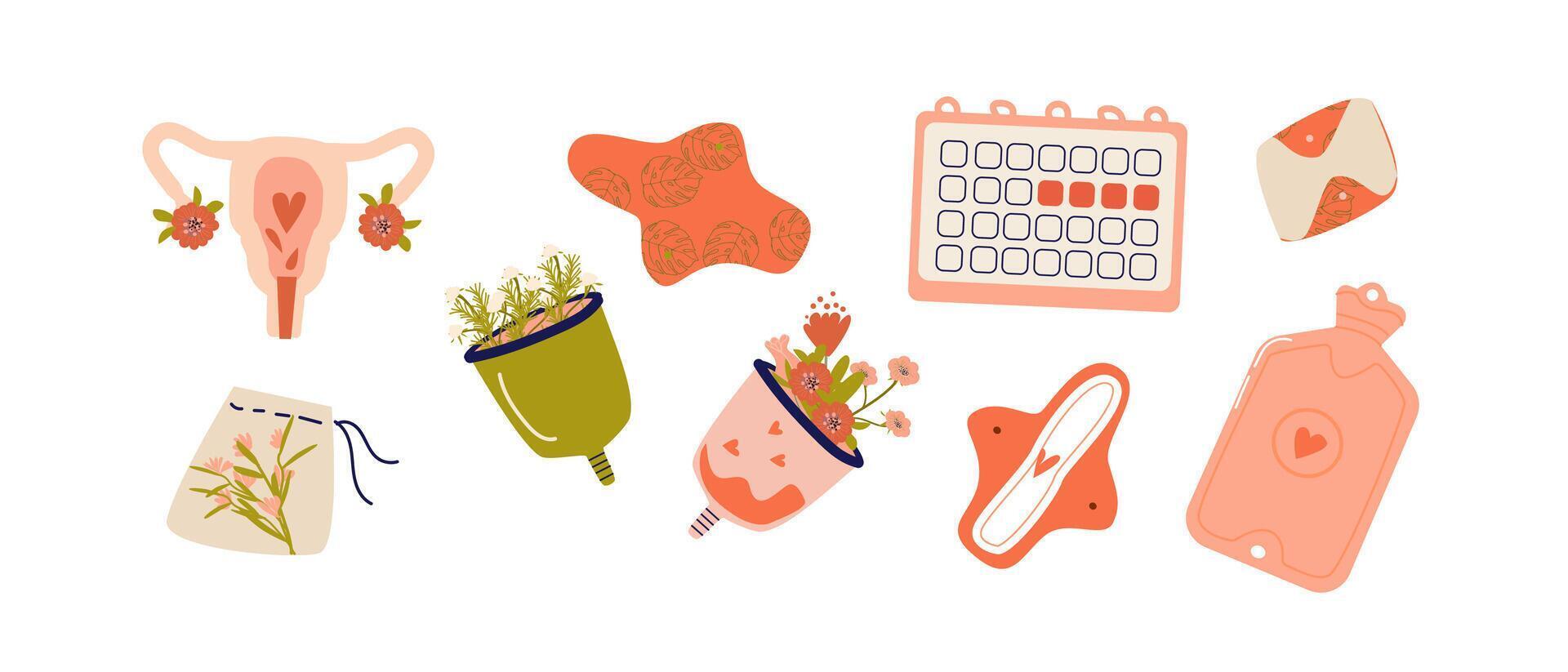 femme en bonne santé se soucier femelle réutilisable équipement de menstruel période articles. vecteur illustration inclus menstruel tasses, tampons, petit sac, plus chaud et reproducteur système de femme.