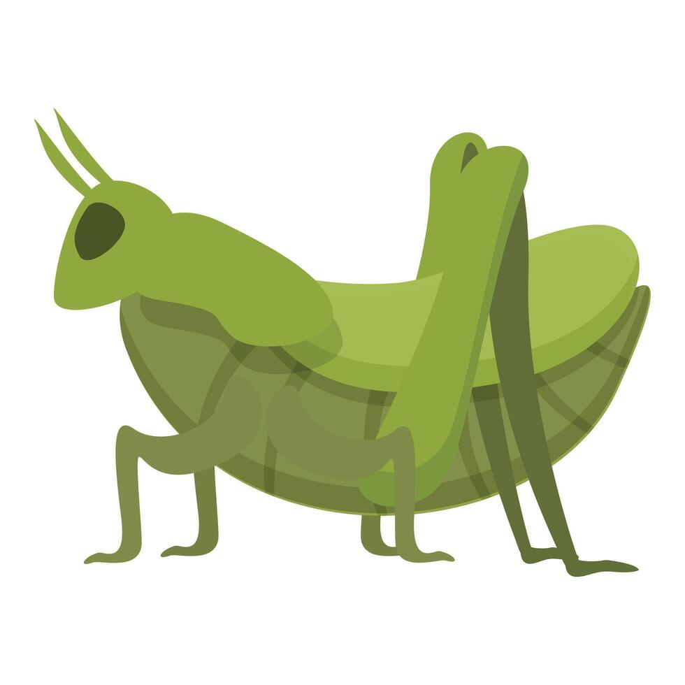 sauterelle insecte icône dessin animé vecteur. faune criquet vecteur