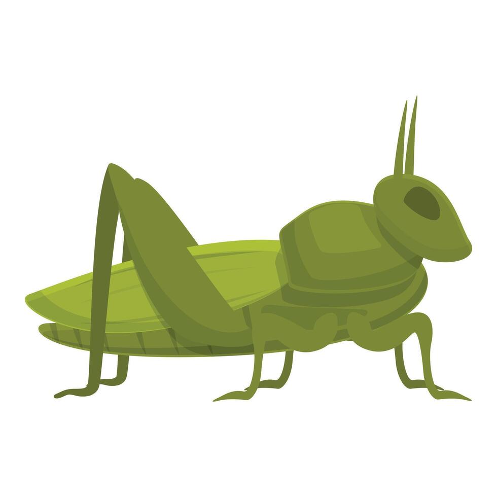 criquet sauterelle icône dessin animé vecteur. animal insecte vecteur